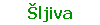 Šljiva