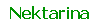 Nektarina